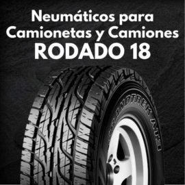 Neumáticos para Camionetas y Camiones Rodado 18
